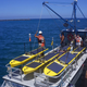 Imagen para el artículo titulado Este nuevo dron espía submarino obtiene su energía del sol y las olas